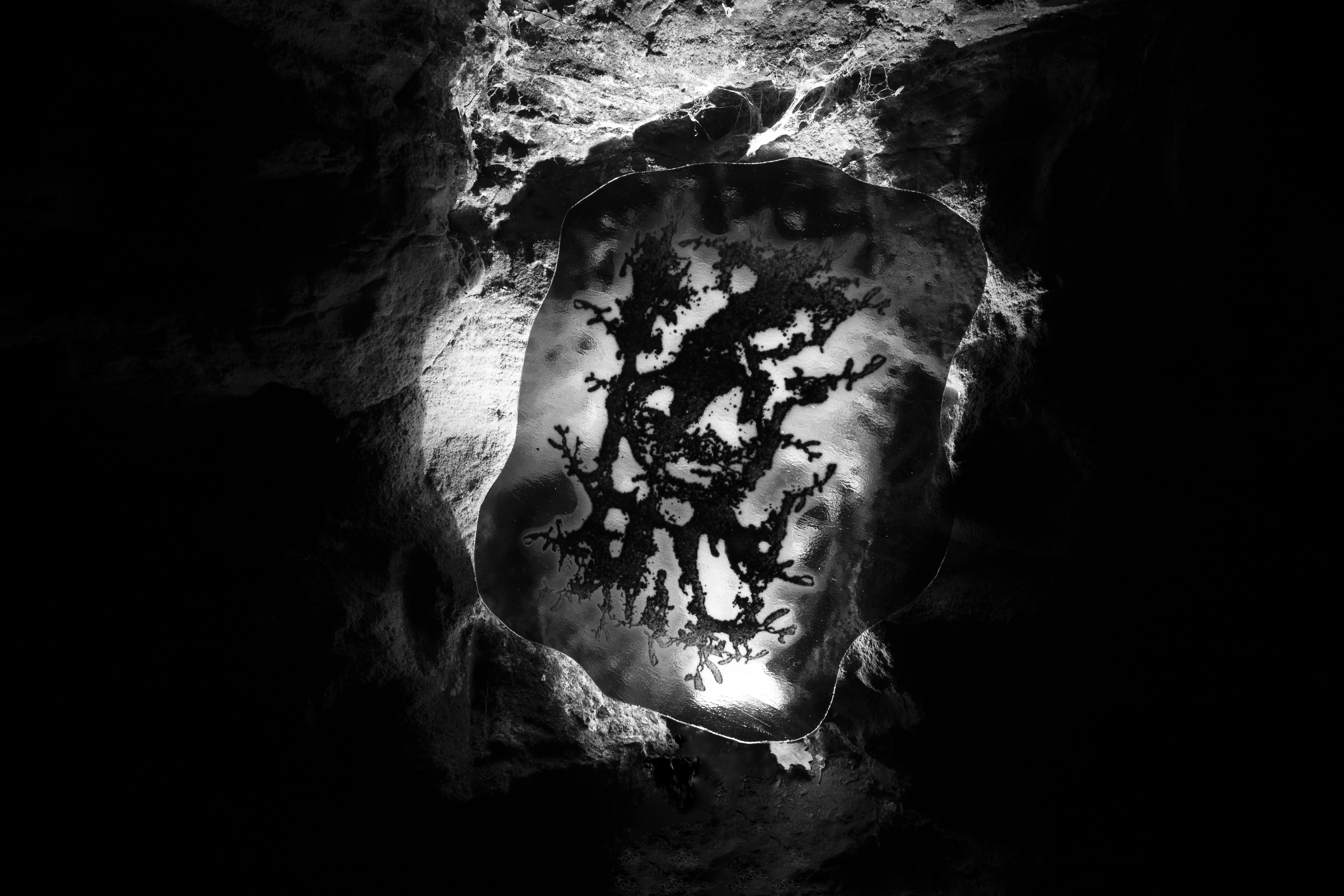 Fotografia diela